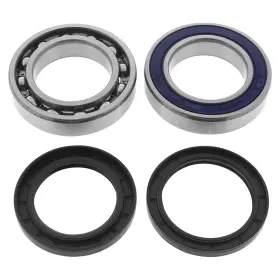 9890-a887621-80 All Balls Shaft Bearing&seal Kit For 2014-2017 Arctic Cat M 8000 Limited Es 162