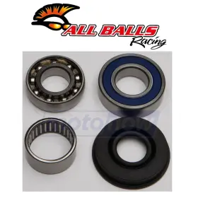 3e99 All Balls Mn/3e99 Shaft Bearing And Seal Kit For 2001 Ski-doo Grand Touring 500 - Cu
