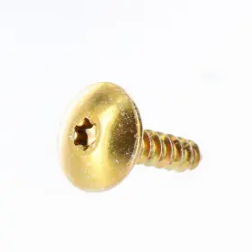 0623-700 Arctic Cat New Oem Self Tapping Screw #10-12x3/4