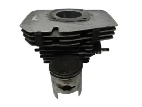 3001-089 Arctic Cat 1973 El Tigre 340 Cylinder And Piston Lh Clutch Side