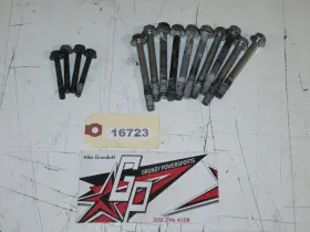 3007-411 Arctic Cat 3004-874 - 1996 Jag 440 Crank Case Bolt Set /