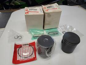 Arctic Cat 3005-742 2 Nos Oem Piston Assemblies With 3005-363 Pin Artic Zr 440