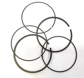 Arctic Cat 3007-104 New Oem Piston Ring Set Artic