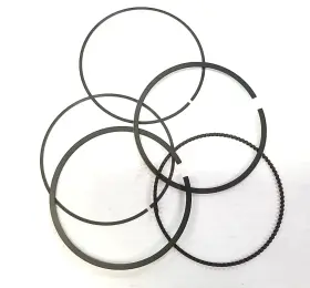 3007-104 Arctic Cat New Oem Piston Ring Set Artic