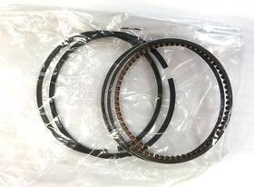 Arctic Cat 3021-725 New Oem Piston Ring Set Artic