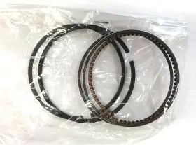3021-725 Arctic Cat New Oem Piston Ring Set Artic