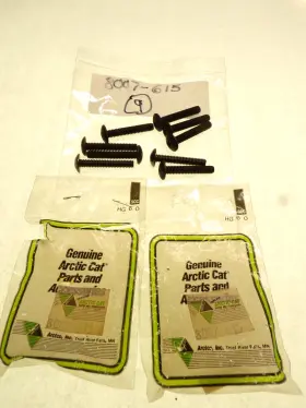 4-20x1.5 Arctic Cat 8007-615 Machine Screw 1/4-20x1.5 Nos Qty. 9 Pieces