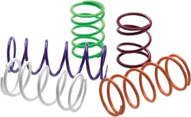 9419-e292679-59 Epi Secondary Driven Clutch Spring-purple For 2006-2007 Yamaha Rx10r Apex Er