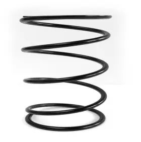 Epipebs5 Epi Pebs5 Secondary Driven Clutch Spring Almond 328067