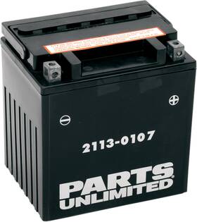 Parts Unlimited Ctx30l-bs 2113-0107 Agm Maintenance-free Battery Yix30l-bs