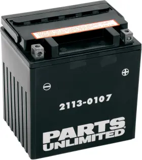 Yix30l-bs Parts Unlimited Ctx30l-bs 2113-0107 Agm Maintenance-free Battery