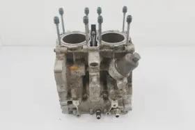 0453149 Polaris 2006-2007 Rmk Switchback Fst Iq Classic Turbo Oem Engine Cylinder Block