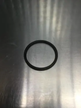 1500258 Polaris 1500020 O Ring T374