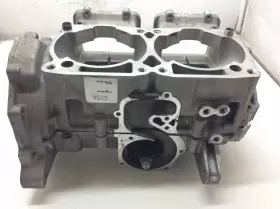 2207329 Polaris Case Crankcase 2018-2020 Rmk Sks Titan Rush Switchback Pro-x 800
