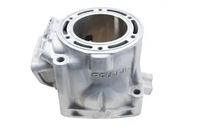3021563r Polaris Oem 3021563 Reconditioned Cylinder Jug