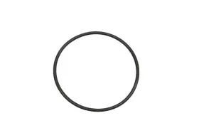 3085619 Polaris New Oem O-ring Nos