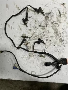 4011756-053 Polaris 2006-2015 Switchback Iq Rmk 700 Oem Fuel Injection Harness Assfty