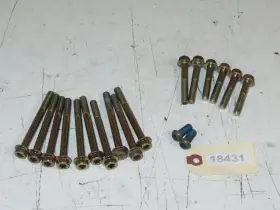 7517785 Polaris 517784 - 2018 Pro Rmk 800 163 Crankcase Bolts Set 7517784 / 7517786