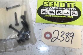 Polaris 7511883 P8 Nos 10 Pack Screws