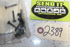 7511883 Polaris P8 Nos 10 Pack Screws