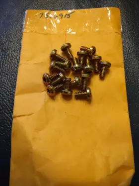 7516915 Polaris - New Oem Screws Qty 17 7516915 Polaris - New Oem Screws Qty 17