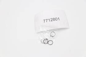 Polaris 7712801 Nos Oem Ring Qty 4