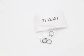 7712801 Polaris Nos Oem Ring Qty 4