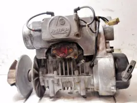 Tr-340 Rupp Tr340 Snowmobile Engine Motor Sprint American Rally 340
