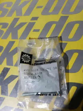 222551815 Ski-doo Nos Vintage Skidoo Oem Pan Slot Machine Screws Set Of 10 M5 X .80 18