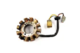 410922927 Ski-doo 2000 Mach Z R Millennium 809 Oem Magneto Stator Coil