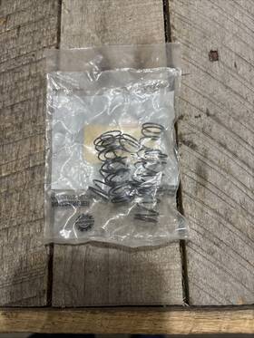 Ski-doo 420239948 Ski-doo - New Oem Rave Spring Qty 5 Nos