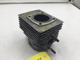 420813955 Ski-doo Cylinder Jug Fits 1973 Elan 250 T Twin Oem