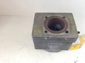 420813965 Ski-doo Cylinder Jug 1973 Elan 250 T F/c Single Needs Bore Oe