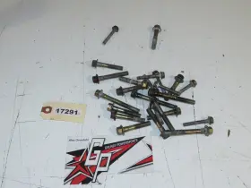 420640432 Ski-doo 420941451 - 1998 Mach Z Crankcase Bolt Set / 420940636