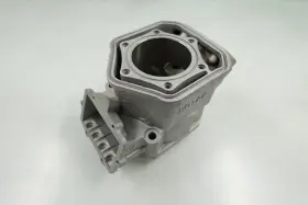 421000667 Ski-doo New 2009-2020 Mxz Tnt / Summit X 600 Ho E-tec Oem Std Cylinder