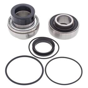 Sledpartsguy 1602-290 Arctic Cat Thundercat 1000 1998-2002 Jackshaft And Chain Case Bearing Seal Kit