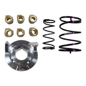 8715-s273271-75 Speedwerx Clutch Kit For 200cc Youth 6-8000ft. Sleds 2019 Yamaha Sxr2