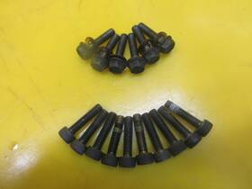 Yamaha 90110-06057-00 Oem 2004 Rx1 Rx 1 Le Apex Motor Engine Pto Cover Allen/hex Bolt Set Of 16