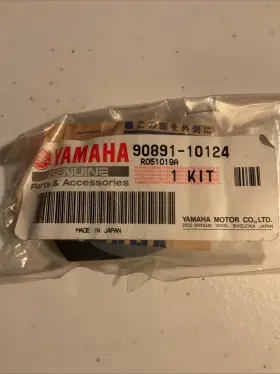 90891-10124 Yamaha Oem Nut And Wsher Kit