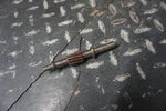 1993 Arctic Oem Oil Pump Gear Thundercat 900 3004-179 Used. Price: $19.95.