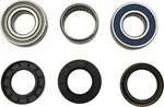Balls Jack Shaft Bearing And Seal Kit 141-9084 138888 ABR14-1084 New. Price: $54.07.