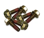 Polaris Ranger Rzr Sportsman Water Pump And Head Cover Bolts (set Of 6) 7516822 New. Price: $9.95.