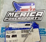 Qty New Genuine Polaris 7621403 Blind Rivet. Price: $9.41.