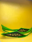 2014 Arctic Cat M800 162 Green Hood Sides Left And Right 3718-578 Used. Price: $149.99.
