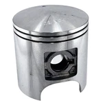 Polaris Piston, 3085434 New. Price: $159.85.