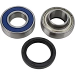 Balls Chain Case Bearing And Seal Kit 14-1024 New. Price: $38.45.