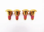 Oem Arctic Cat Screws 1 Set Of 4) 0423-557 Read Listing New. Price: $8.90.
