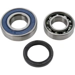 Balls Chain Case Bearing And Seal Kit 14-1060 New. Price: $47.42.