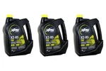 Can-am, Ski-doo, Brp Xps X2-RS Synthetic 2-STROKE Racing Oil (case Of 3 New. Price: $206.99.