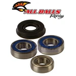 Balls Shaft Bearing And Seal Kit For 2004 Ski-doo Legend 500 Sport Ws New. Price: $74.45.